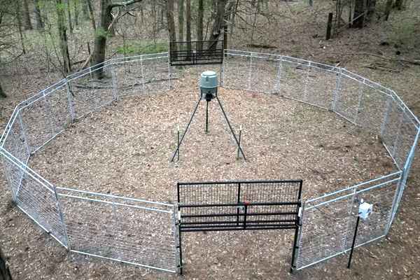 Rigid Panel Trap - Double Gate